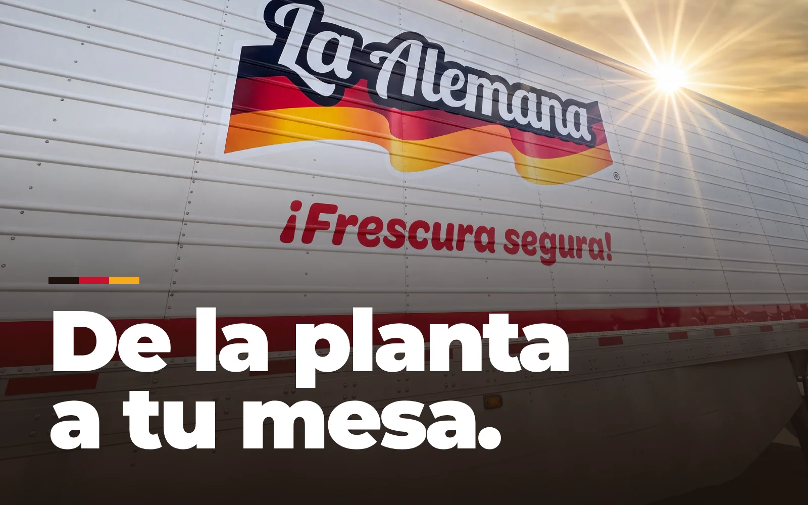 De nuestra planta a tu mesa: 25 años de frescura segura
